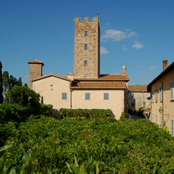 casa-fineo-icona