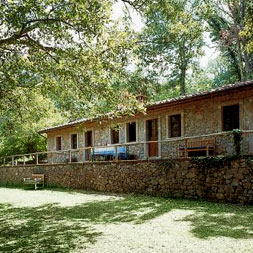 casa-nel-bosco