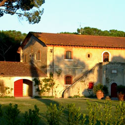 granaio-icona