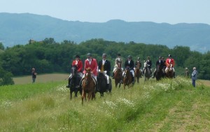  Renacci Country Sport Estate : riding 